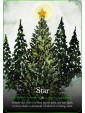 Seasons of the Witch Yule Oracle by Lorriane Anderson & Juliet Diaz